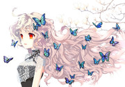 butterfly