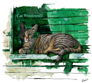 Cat windowsill／窓辺の猫