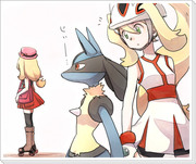 ルカリオとポケモンＸY女主がおいしすぎた