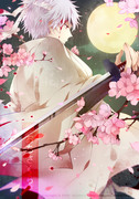 【銀魂】 落桜