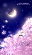 夜桜