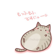 ねこぶとん