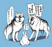 うさぎは正義