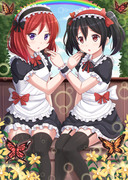 Maki ♥ Nico