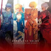 Fate/staynight