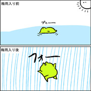 梅雨明けカエル