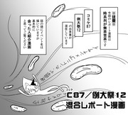 C87/例大祭12混合レポート漫画【その1】