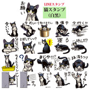 【LINEスタンプ】猫スタンプ（白黒）