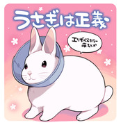 うさぎは正義！6話目公開