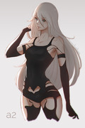 A2