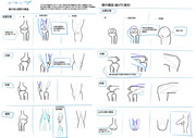 講座本没ページ「膝の骨と筋肉の構造」