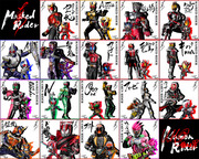 HEISEI RAIDER