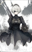 2B