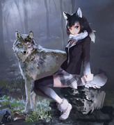 gray wolf