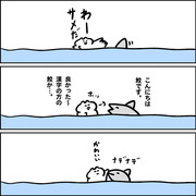 サメが来る