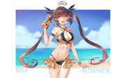 Summer_M14