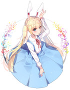 usagi