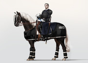 Mounted police