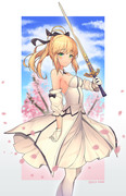 Saber Lily