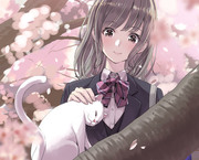 猫なで桜