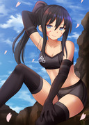 Pitohui~