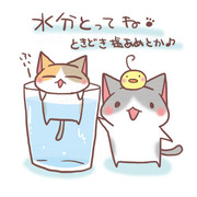 水分とってね♪