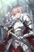 雪の騎士