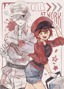 cells!! at work!!