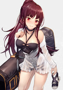 【ドルフロ】WA2000 2