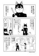 黒柴生徒会長