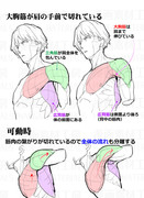 肩の描き方・肩可動の違和感と修正法③④