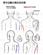 肩(背面)の描き方・違和感と修正法⑤