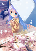 雪桜チノ