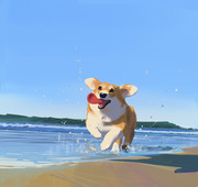 Corgi Beach Day