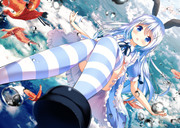 Chino in Wonderland