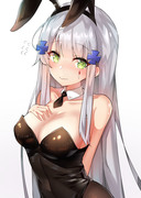 hk416