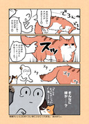 実録ねこマンガとか