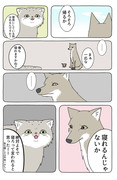 【Hush Hush】あの動物漫画がまだまだ続けられそうです