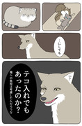 【Hush Hush】 あの動物お知らせは今週もうひとつあります