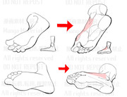個人メモ：足の甲