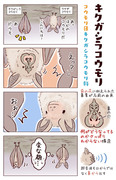 第157～159種 日本の面白コウモリたち