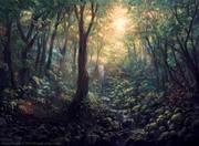 Magic: The Gathering Forest M20
