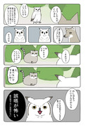 【Hush Hush】あの動物漫画に新しい彼がきました