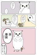 【Hush Hush】あの動物漫画で暖をとれるかどうか