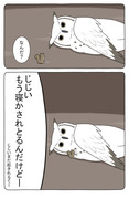 【Hush Hush】あの動物漫画の今年の更新はあと2回