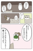 【Hush Hush】本年はあの動物漫画が大変お世話になりました