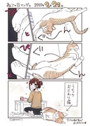 うちのおさわり猫