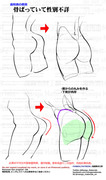 個人メモ：お尻の流れ（女性）