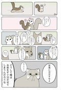 【Hush Hush】あの動物漫画で春を一緒に待ちましょう