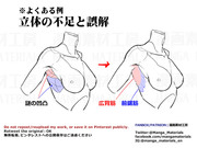 個人メモ：腋の構造